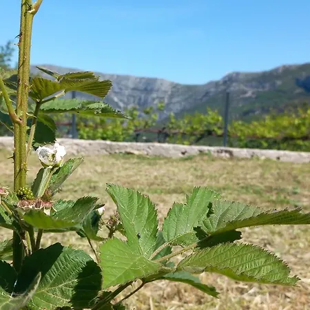 Ranch House Zora 公寓 *