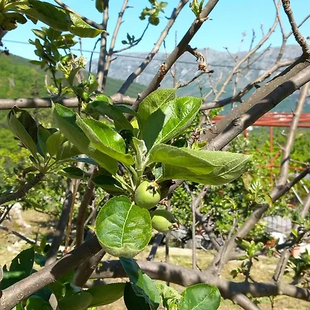 Ranch House Zora * Dubrovnik
