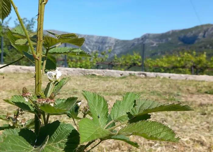 Ranch House Zora Apartment *