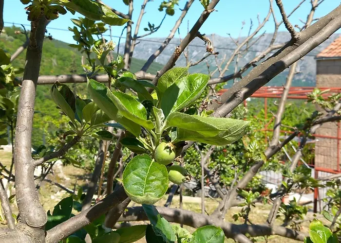 Ranch House Zora * Dubrovnik
